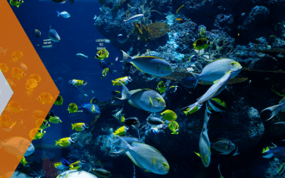 Acuario del Puerto de Veracruz