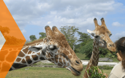 Descubre el Zoológico de León, Guanajuato: Un lugar lleno de vida y aventura