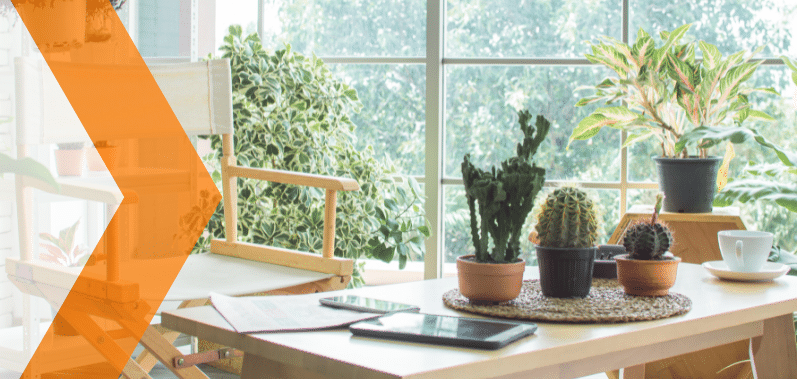 Decora tu hogar con plantas