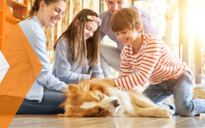 ¿Cómo controlar las alergias cuando vives con mascotas?