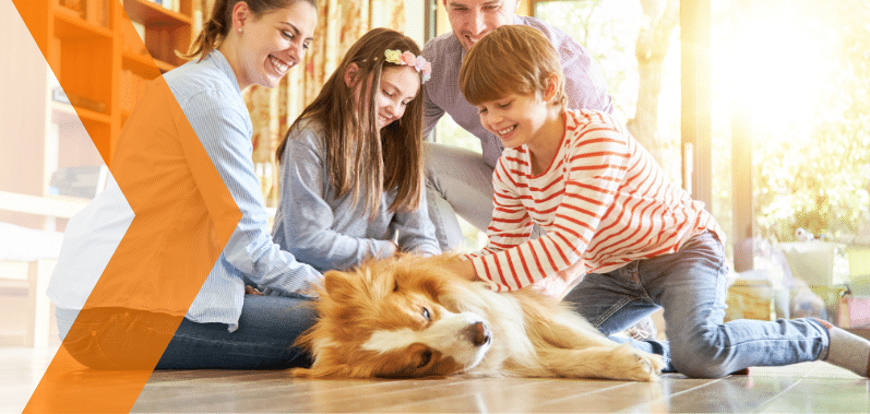 ¿Cómo controlar las alergias cuando vives con mascotas?