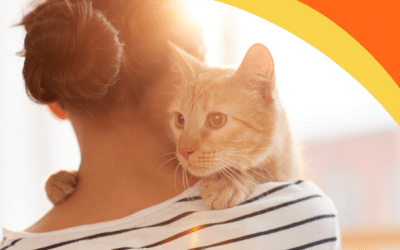 Cómo mantener saludable y limpio a nuestro gato
