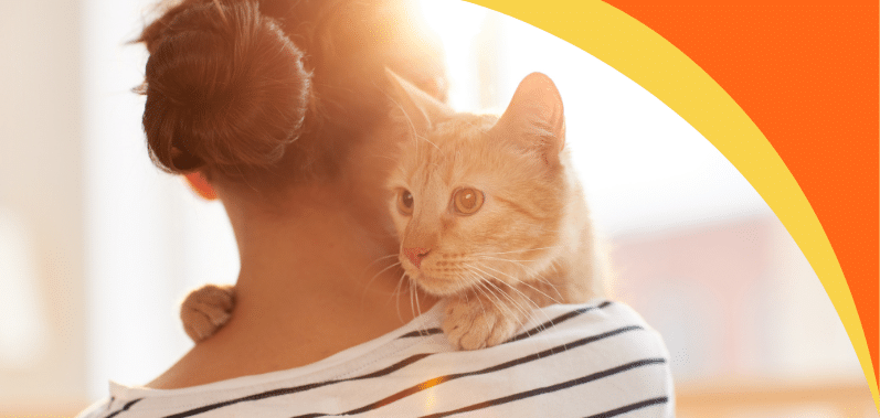 Cómo mantener saludable y limpio a nuestro gato
